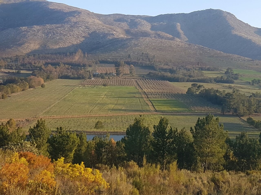 9 Bedroom Property for Sale in Joubertina Eastern Cape